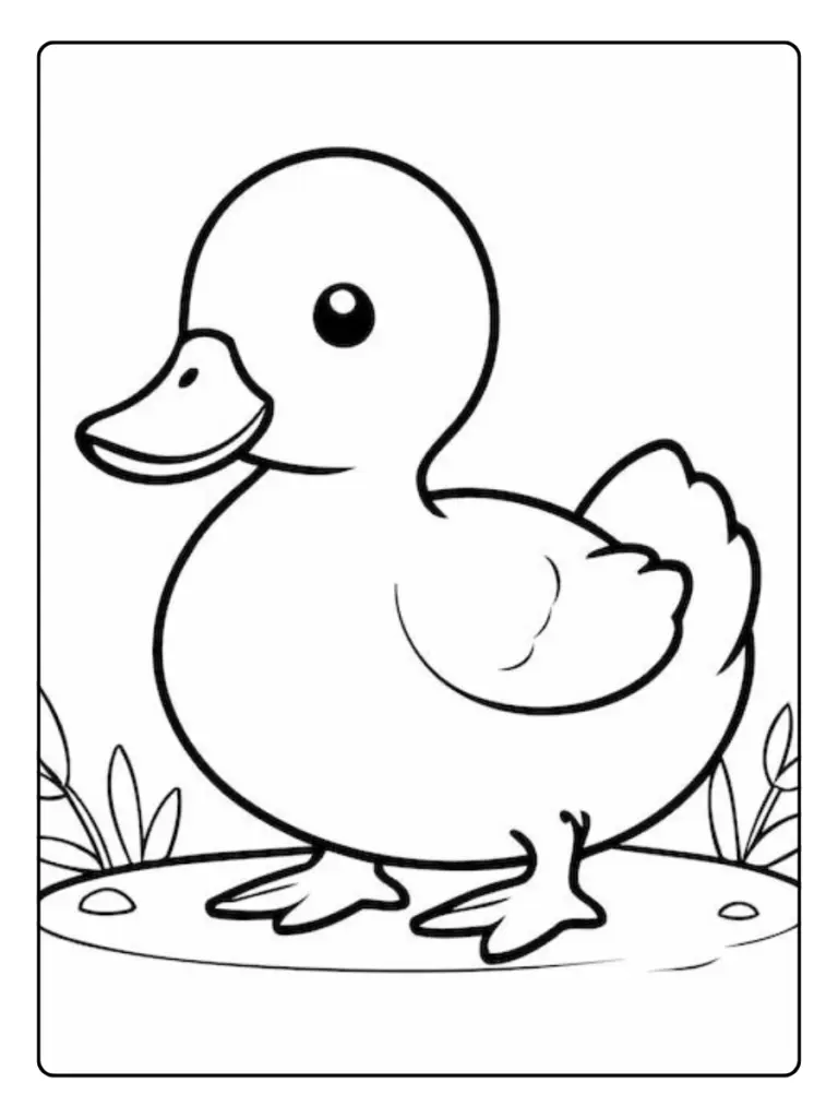 Disegni da colorare anatra bianca e nera