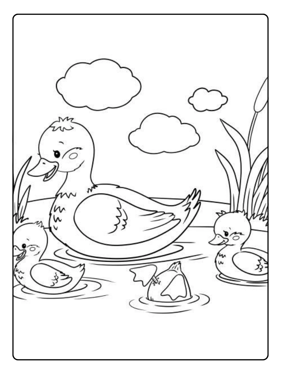 Disegni da colorare anatra che nuota nello stagno