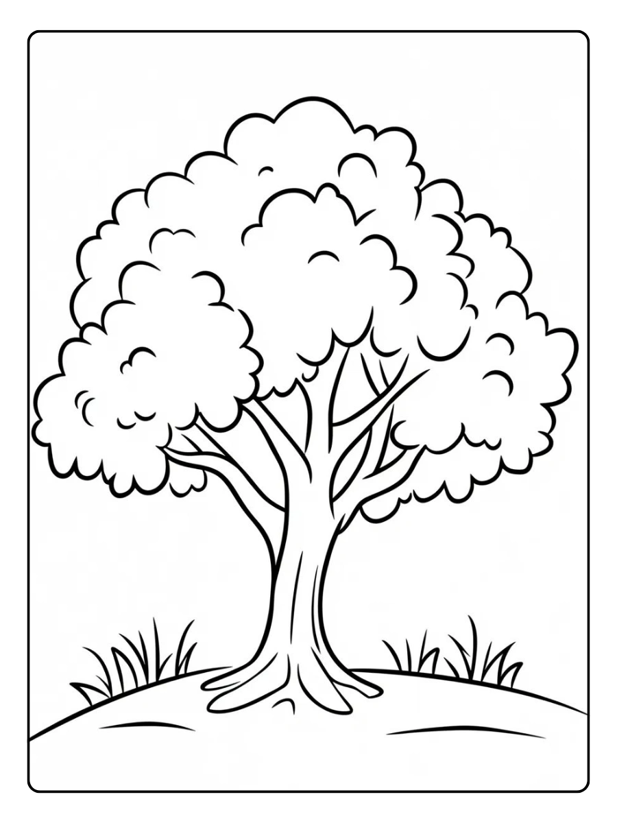 Disegni da colorare di piante da giardino orchidee