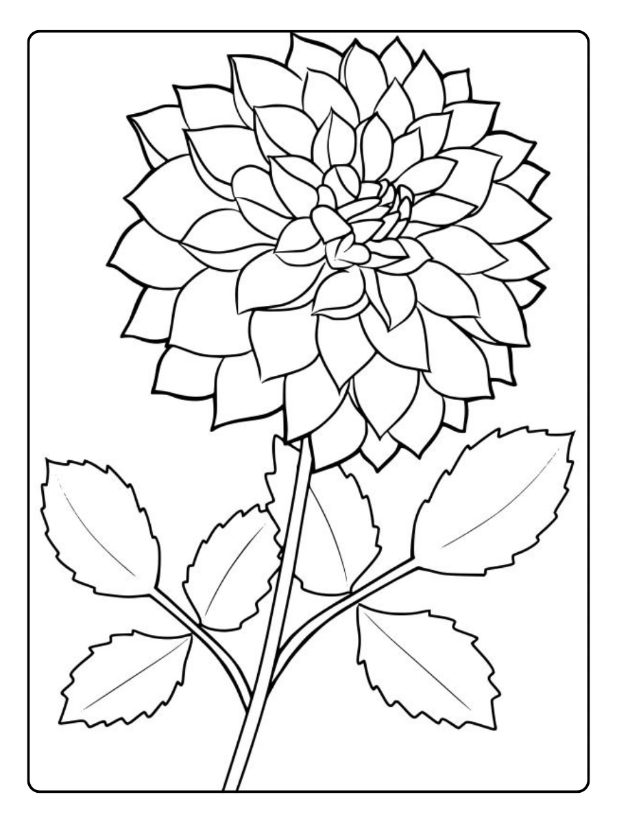 Disegni da colorare di piante fiori line art