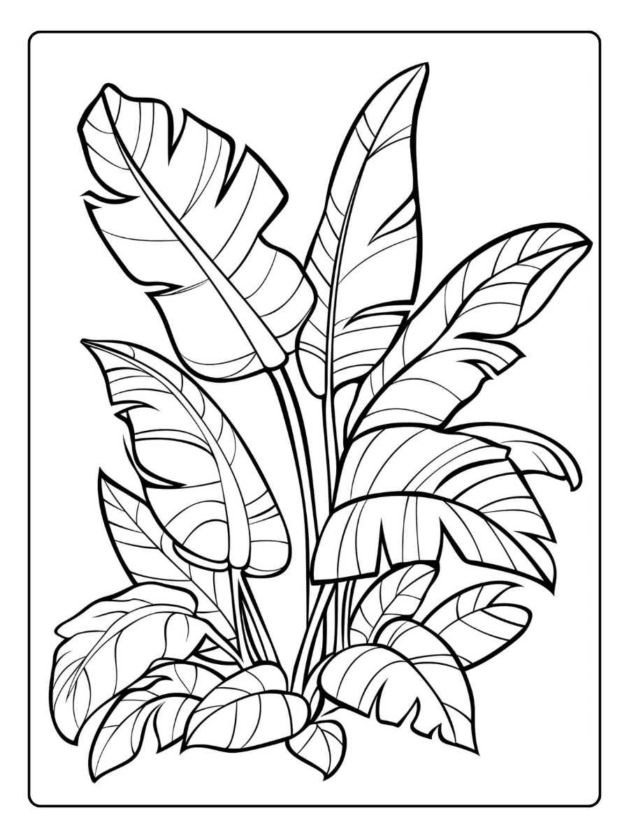 Disegni da colorare di piante tropicali in giungla