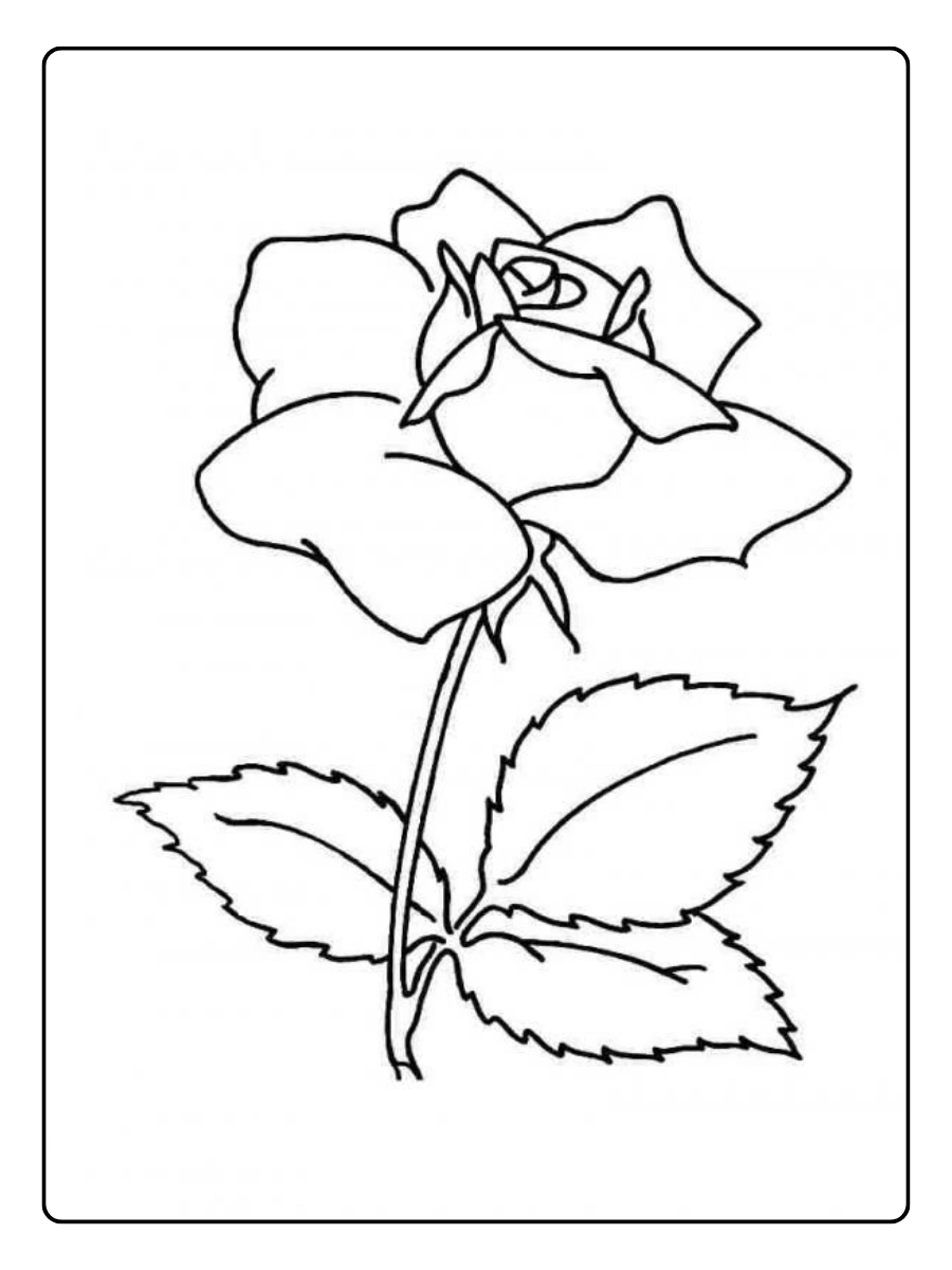 Disegni da colorare fiori con foglie