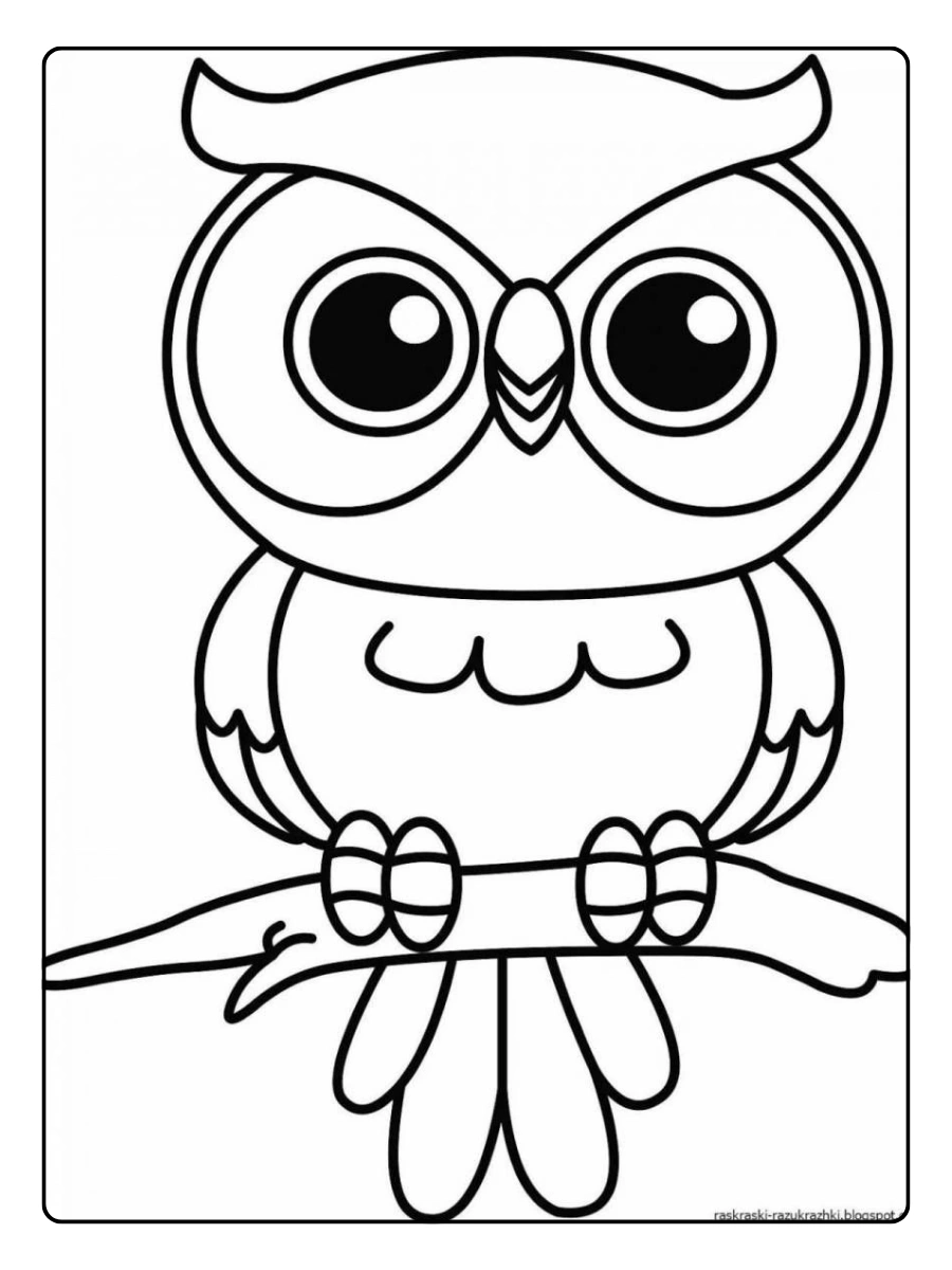 Disegni da colorare gufi su ramo