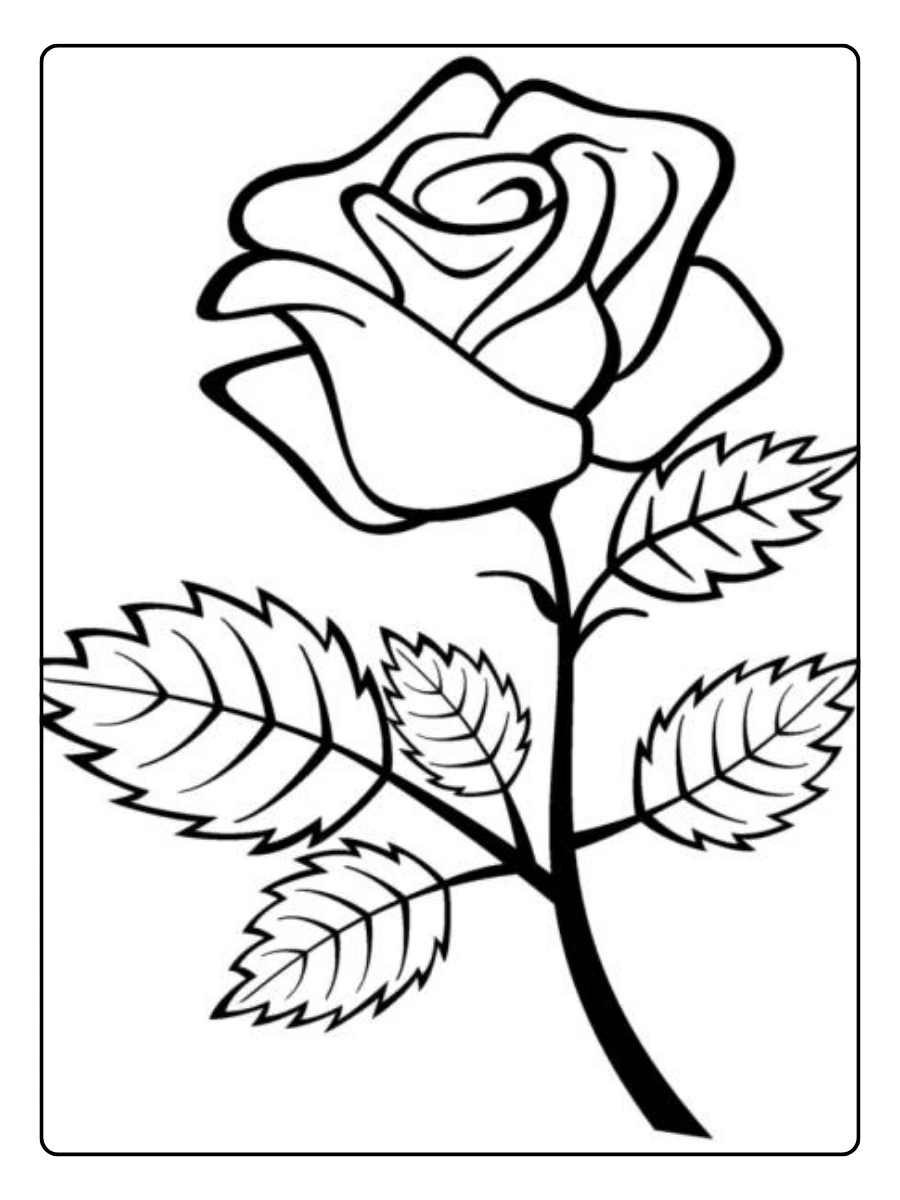 Disegni da colorare rosa