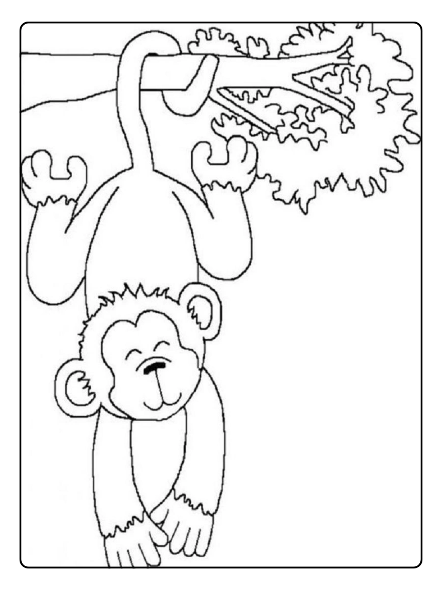 Disegni da colorare scimmia tenera
