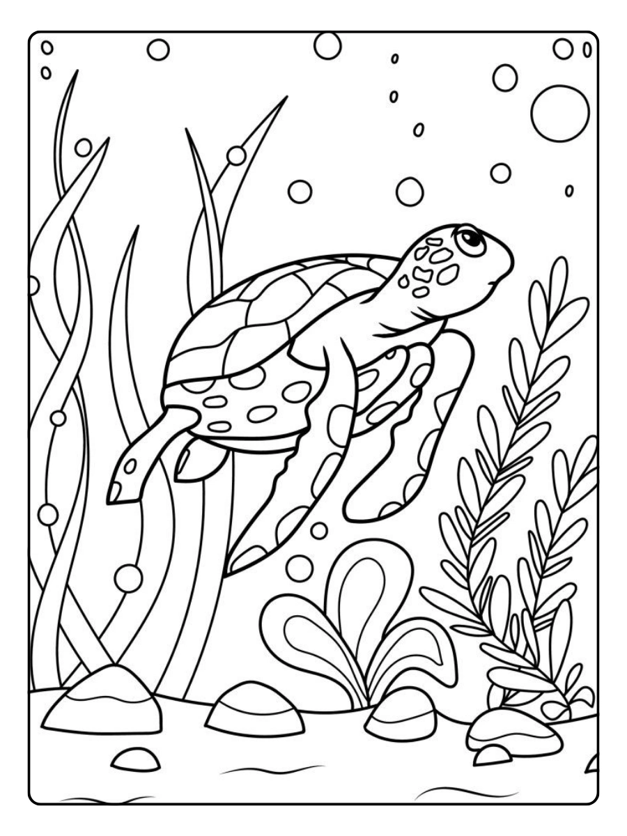 Disegni da colorare tartaruga bianco nero