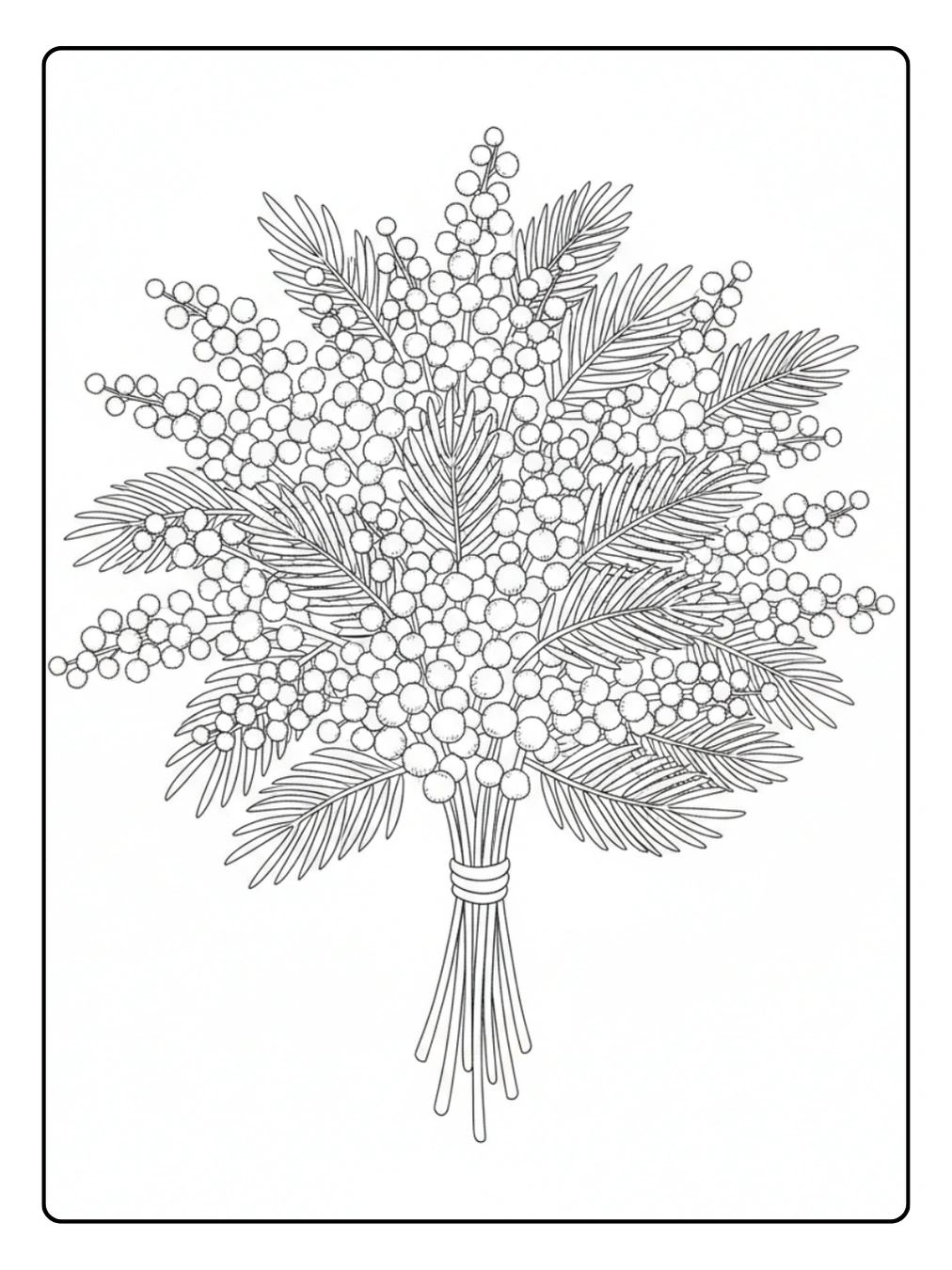 Disegni Mimosa da Colorare – Bouquet di mimosa