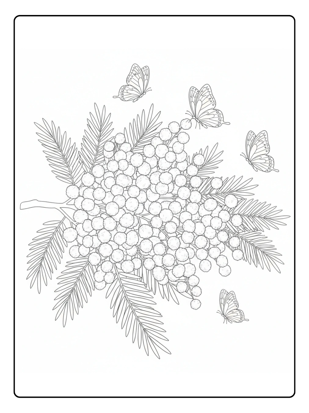 Disegni Mimosa da Colorare – Mimosa e farfalle