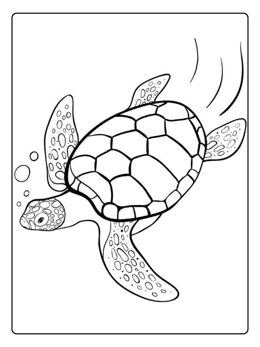 Disegni da colorare tartarughe marine