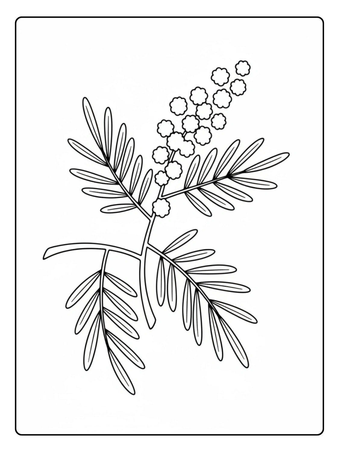 Disegni Festa della Donna da Colorare – Mimosa stilizzata