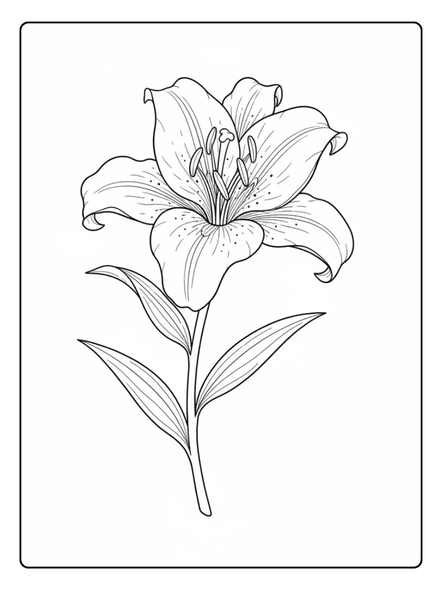 Fiori da Colorare – Giglio elegante