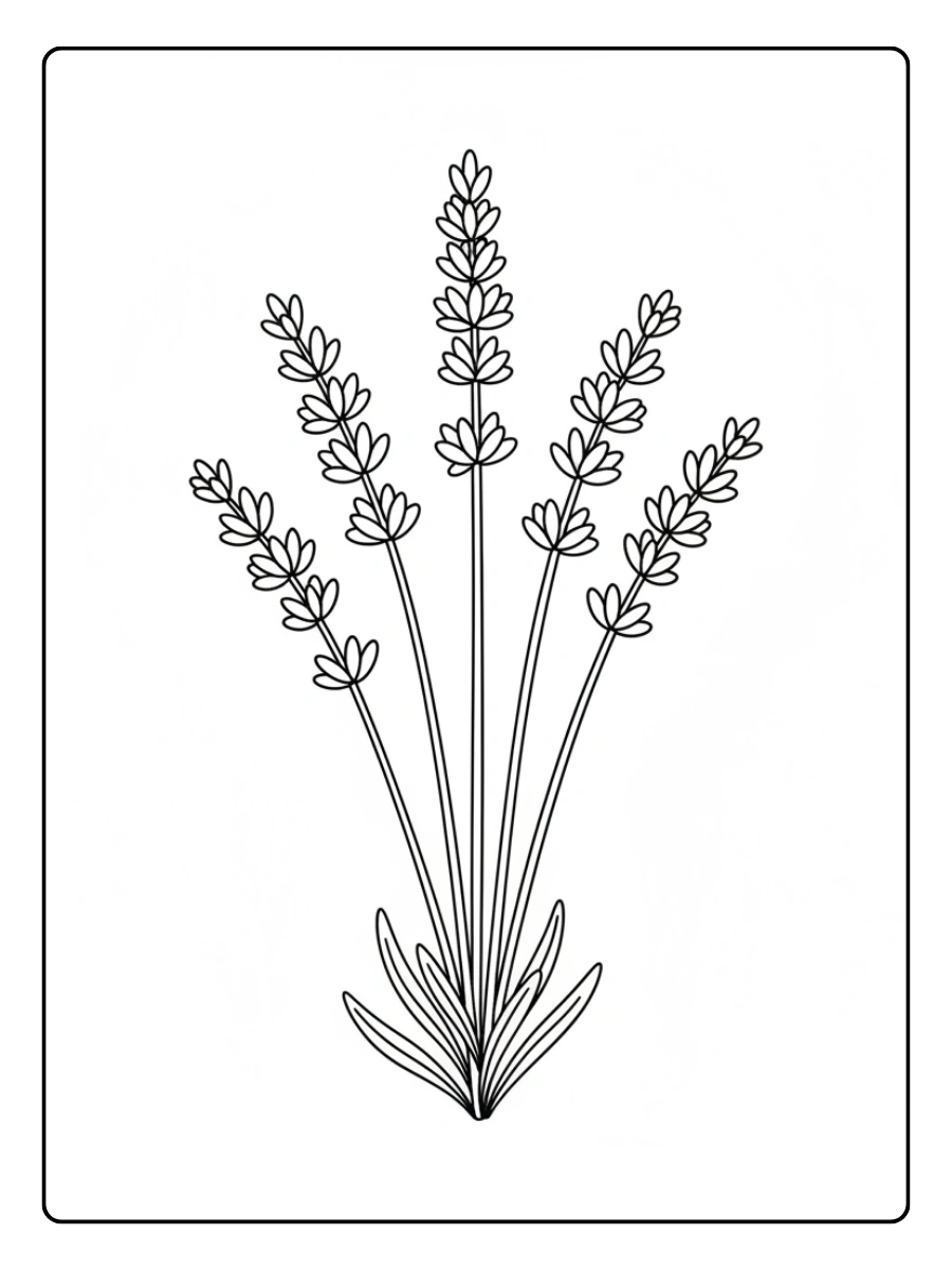 Fiori da Colorare – Lavanda profumata