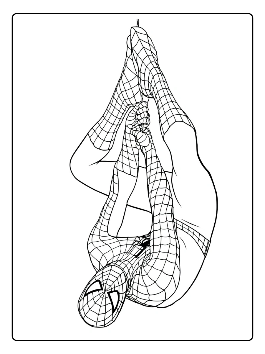 Spider Man da Colorare (6)